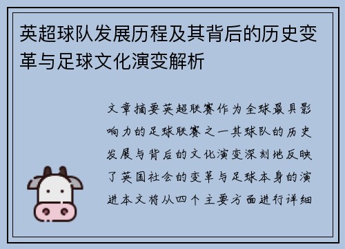 英超球队发展历程及其背后的历史变革与足球文化演变解析 英超球队发展历程及其背后的历史变革与足球文化演变解析